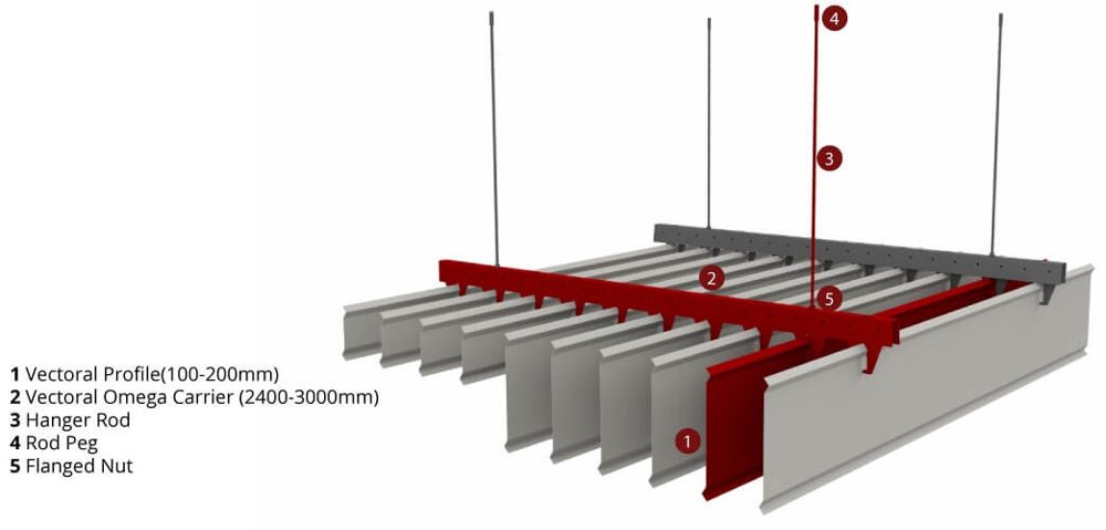 Vectoral system
